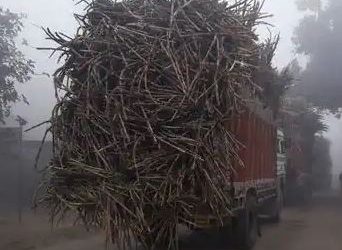 क्षमता से अधिक गन्ने ट्रकों में भरकर आबादी के बीच से होकर हाईवे से गुजरकर हादसों को दे रहे दावत