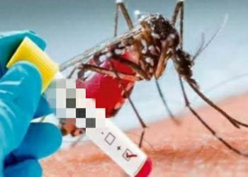 टाइफाइड का बढ़ाता प्रकोप, बुखार के हर मरीज की कराई जा रही जांच