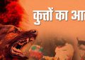खूंखार आवारा कुत्तों का भयावह आतंक : बच्चे के चेहरे पर कुत्ते ने किया हमला, गढ़ से भी दो दिल्ली रेफर