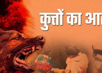 खूंखार आवारा कुत्तों का भयावह आतंक : बच्चे के चेहरे पर कुत्ते ने किया हमला, गढ़ से भी दो दिल्ली रेफर