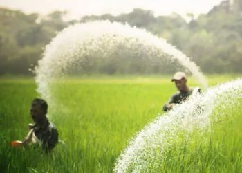 किसानों में बंटेगा मुर्गीदाना फैक्टरी में पकड़ा गया अनुदानित यूरिया