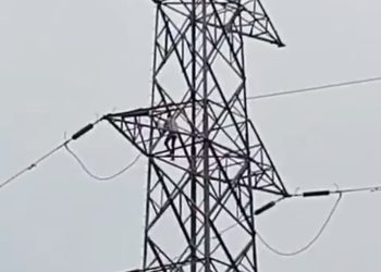 खालसा पंथ स्थापना दिवस, जाट दिवस पर एकलव्य सिंह सहारा का ग्रामीणों ने किया जोरदार स्वागत